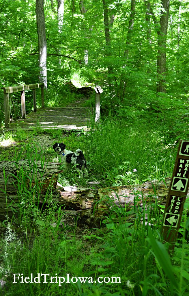 Pammel State Park - Winterset - Field Trip Iowa